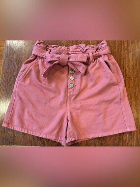 LOFT Dusty Rose Paperbag Waist Tie Belt Shorts Size XS